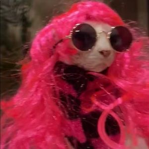 Meet your Posher, Eryka